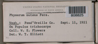 Image Associated With the Occurence